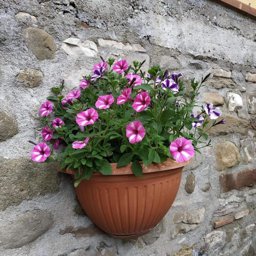 B&B "La Pieve" - Locanda Per Viandanti San Piero a Sieve Exterior foto
